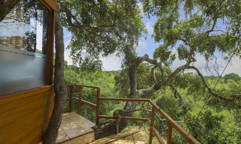 Leopard Nest Yala
