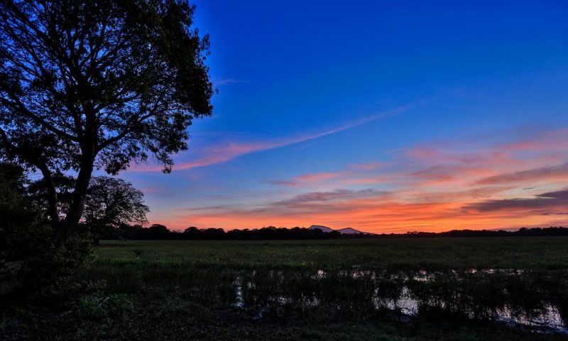 Kulu Safaris Yala