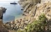 The Wild by Interni Mykonos