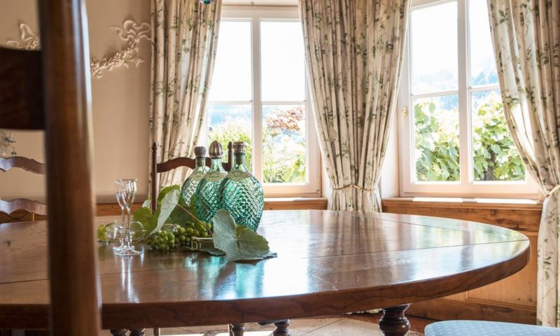 Hotel Theresa Zillertal