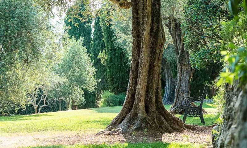 La Bastide Saint-Antoine Grasse