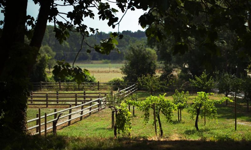 Domaine de Biar Montpellier