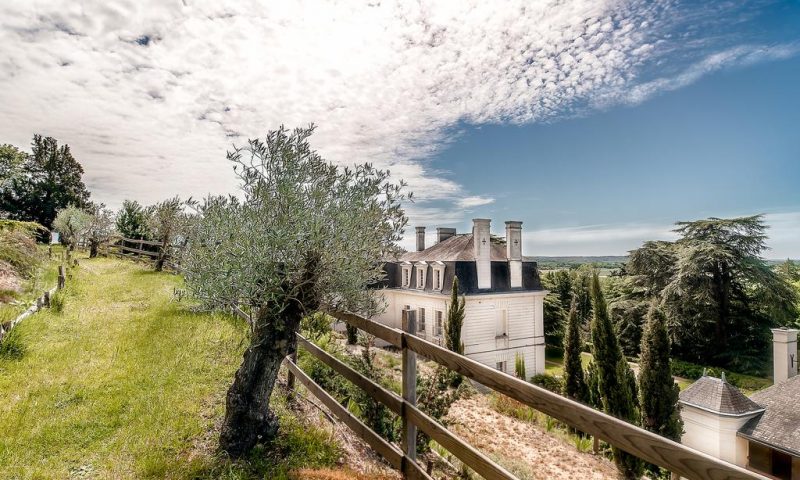 Chateau De Rochecotte Saint Patrice