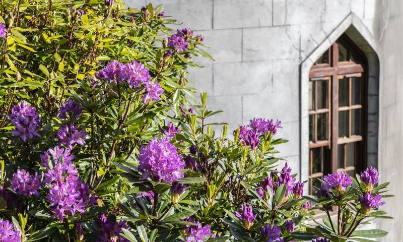 Abbeyglen Castle Galway