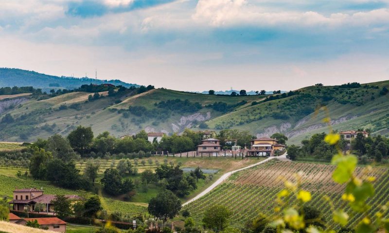 Agriturismo Acetaia Sereni, Emilia Romagna - Italy