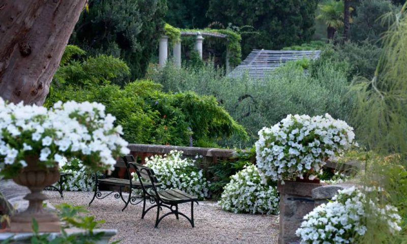 Villa Della Pergola Alassio