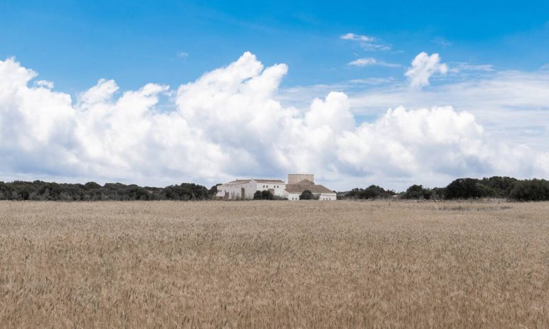 Fontenille Menorca