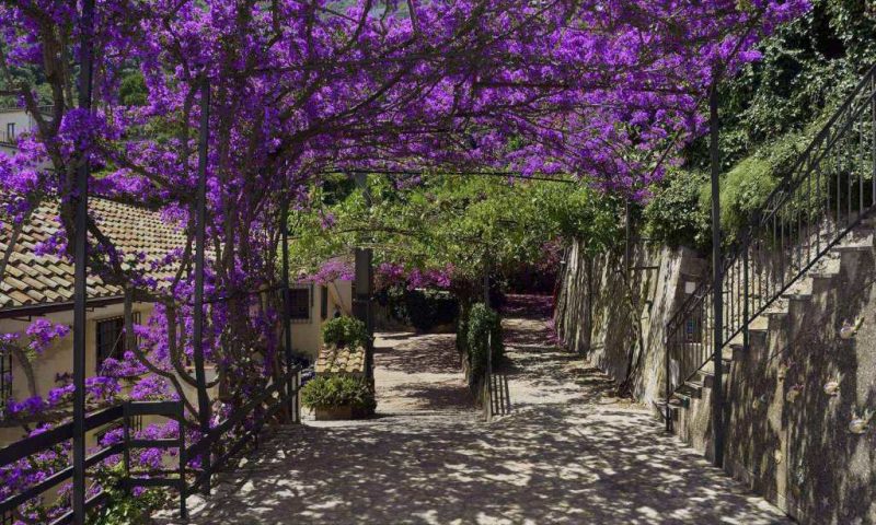 Ravello Art Hotel Marmorata