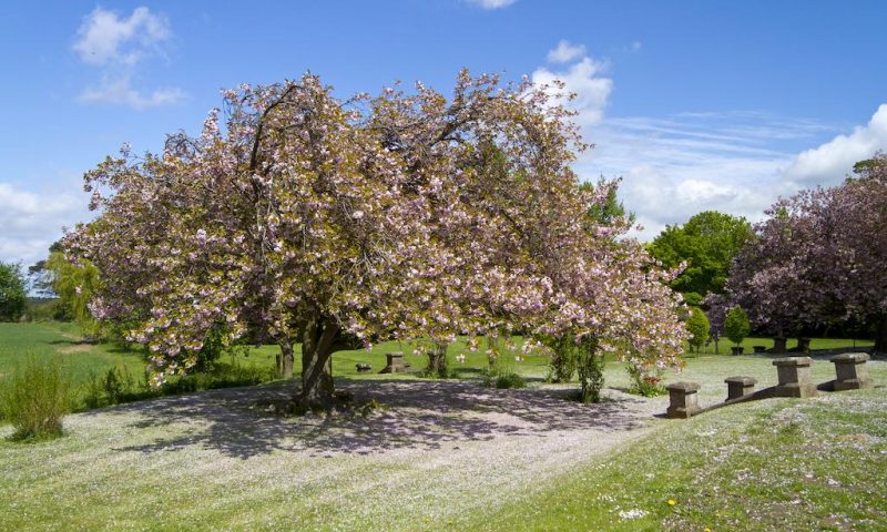 Tickton Grange Hotel Beverley