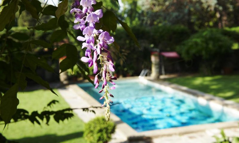Park Palace Hotel Florence