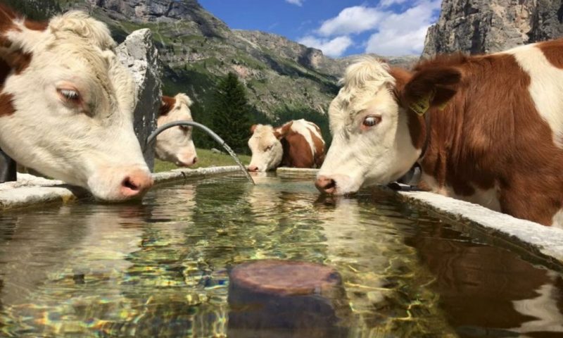 Romantik Villa Cesanueva Selva Di Val Gardena