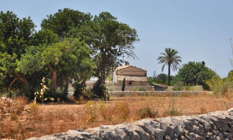 Tenuta Cammarana Donnafugata