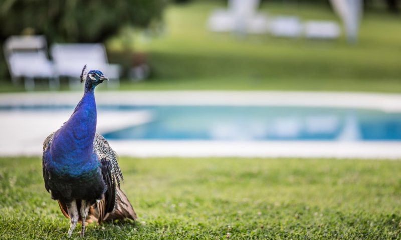 Agriturismo La Casa Di Rodo Quarrata