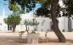 Masseria Le Torri Polignano