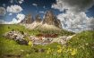 Passo Sella Dolomiti Mountain Resort, South Tyrol - Italy