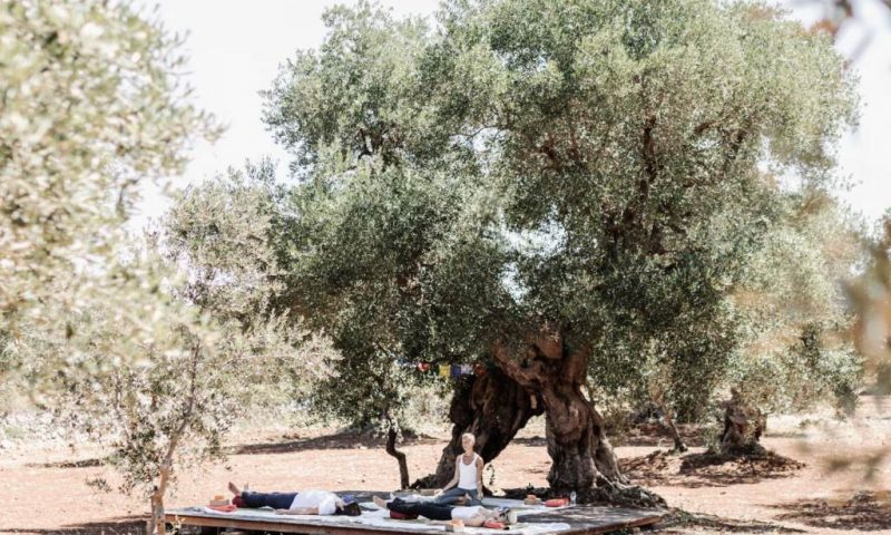 Masseria Dagilupi Ostuni