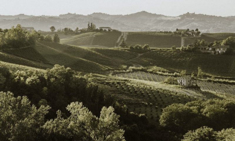 La Villa Hotel Mombaruzzo
