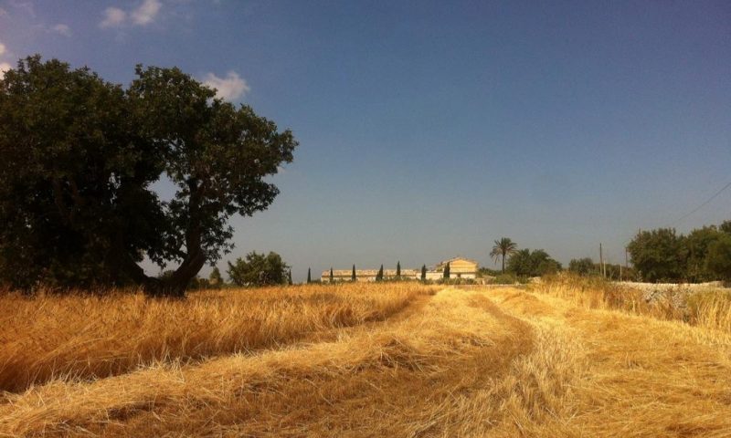 Tenuta Cammarana Donnafugata