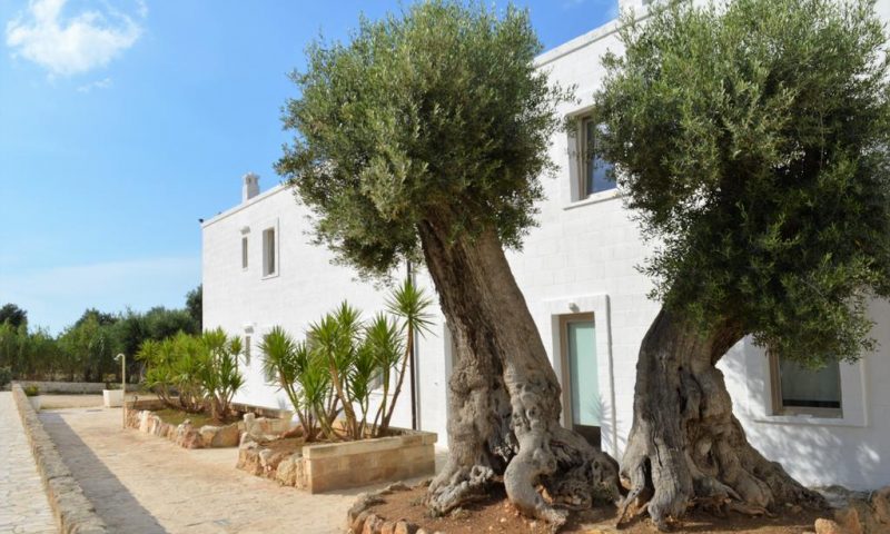 Masseria Torrepietra Monopoli