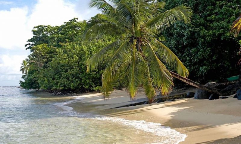 Taveuni Palms Resort Fiji