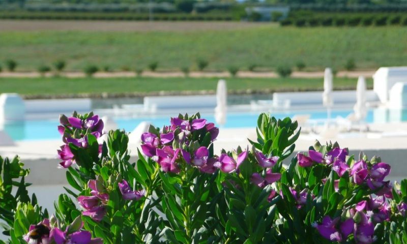 Masseria Bagnara Lizzano