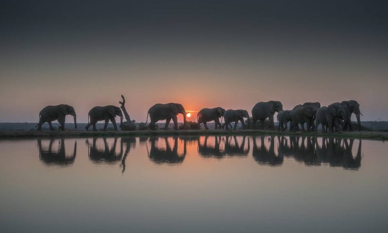 Jabulani Safaris