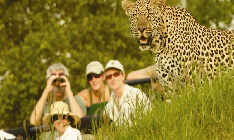 Londolozi Varty Camp