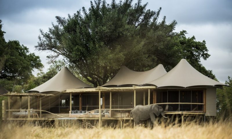 Mombo Camp Botswana
