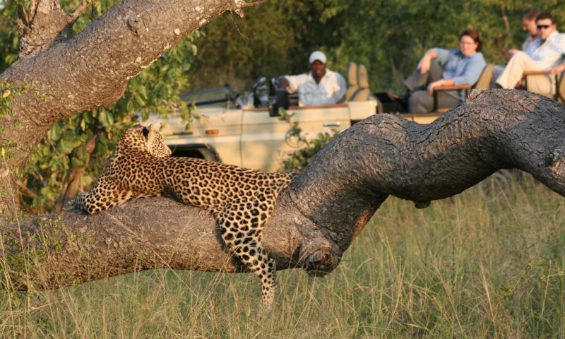 Tintswalo Safari Lodge