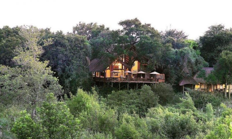Londolozi Varty Camp