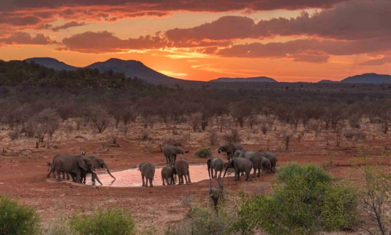 Etali Safari Lodge