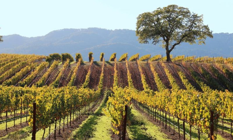 MacArthur Place Inn & Spa Sonoma - California