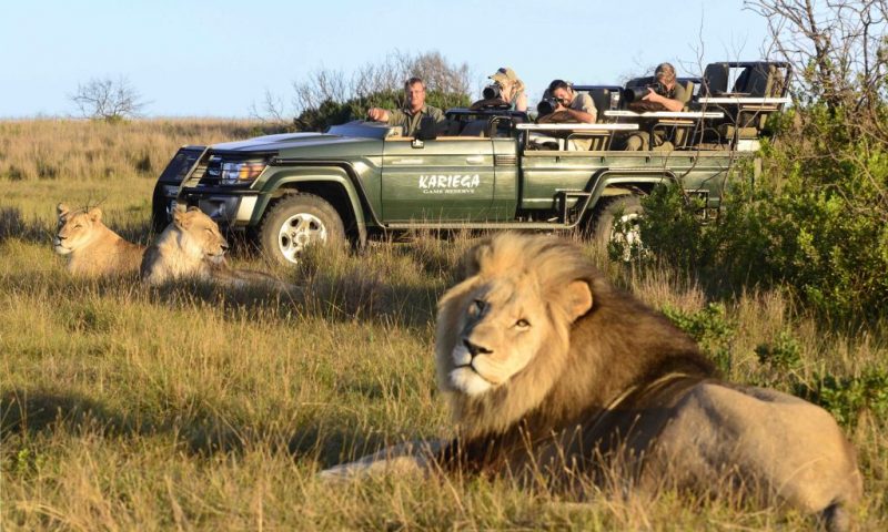 Kariega Game Reserve Settlers Drift