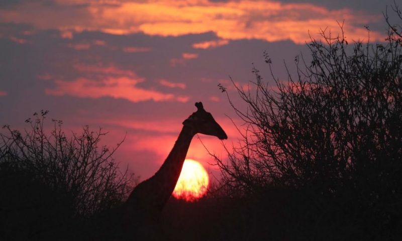 Etali Safari Lodge