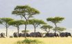 One Nature Nyaruswiga Serengeti
