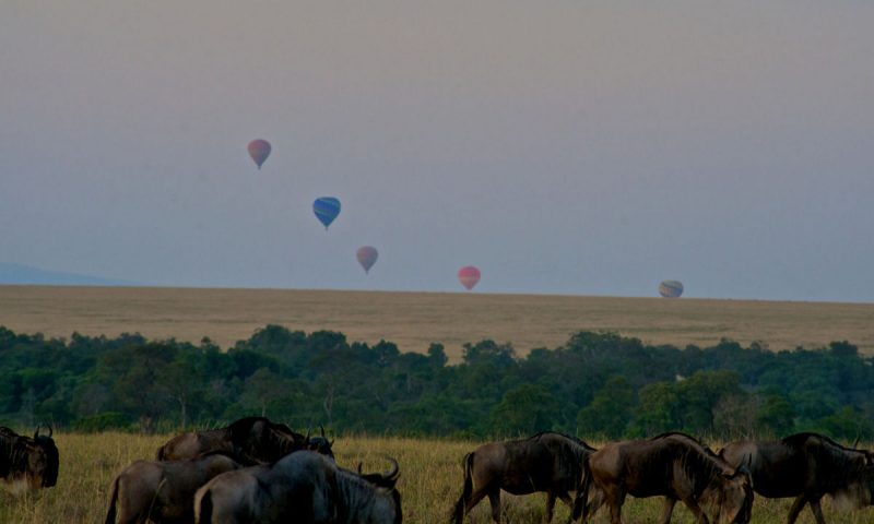 Mara Explorer Tented Camp Kenya