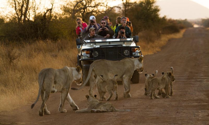 Rhulani Safari Lodge