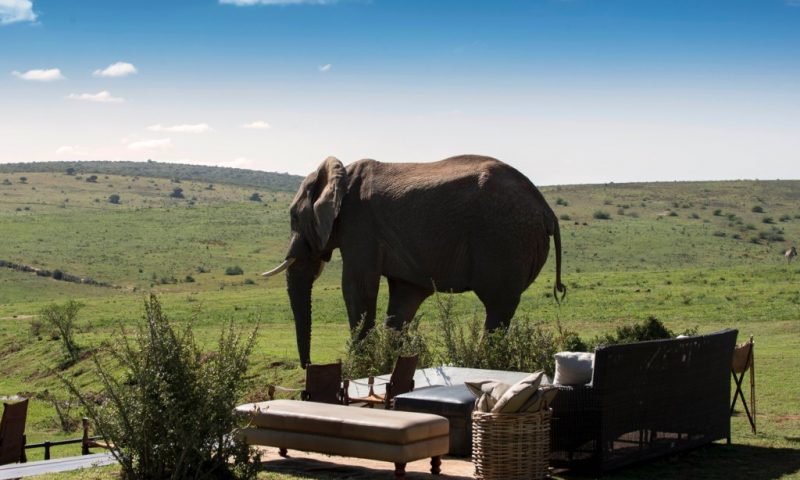 Gorah Elephant Camp