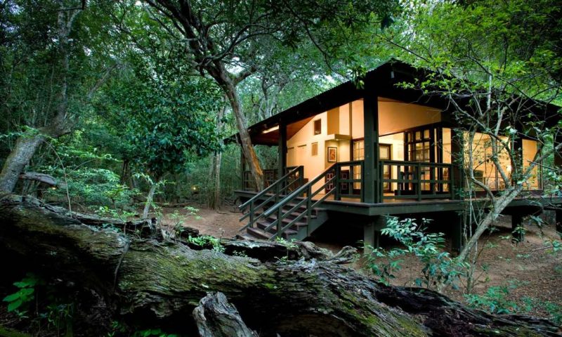 andBeyond Phinda Homestead