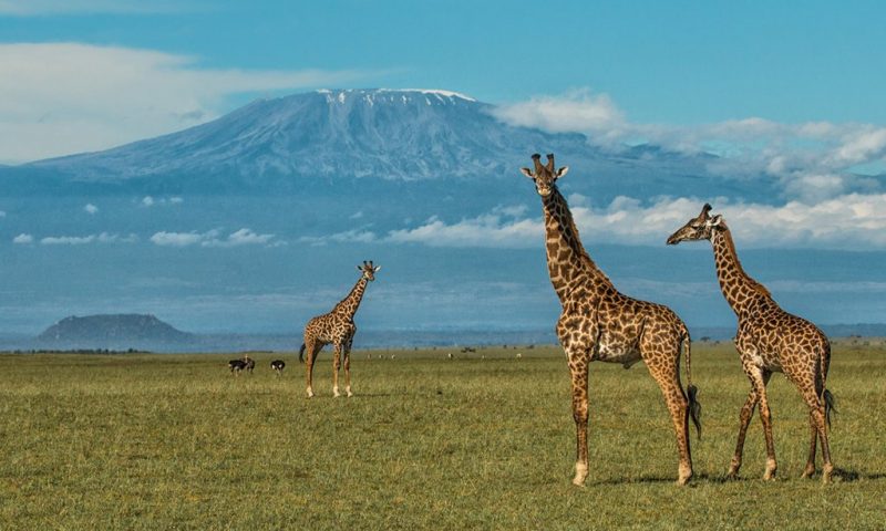 Ol Donyo Lodge