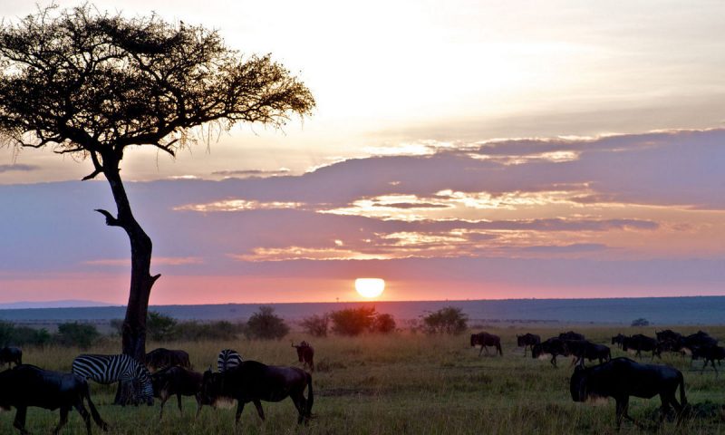 Mara Explorer Tented Camp Kenya