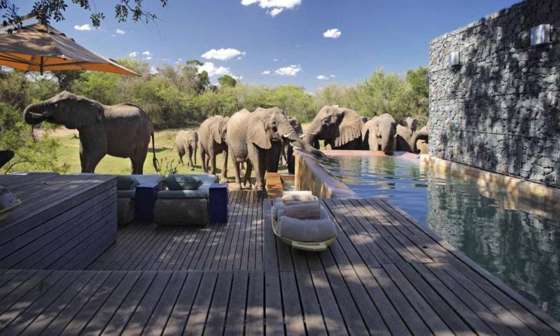 andBeyond Phinda Homestead