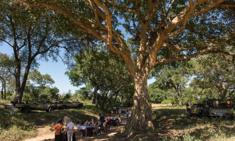 Tintswalo Safari Lodge