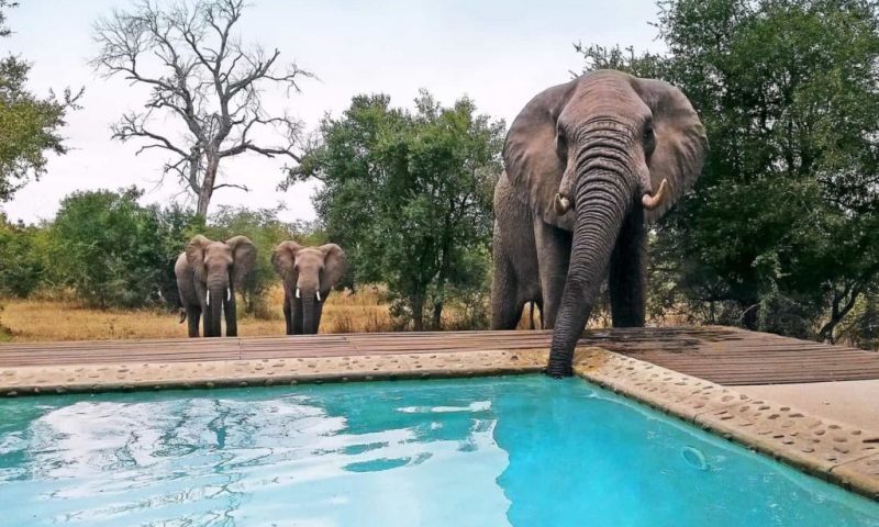 Leopard Hills Private Game Reserve