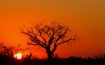 Rhulani Safari Lodge