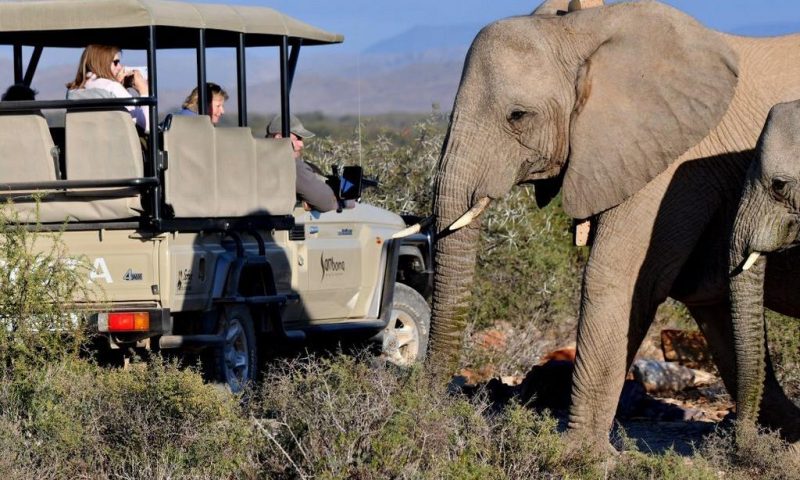 Sanbona Wildlife Reserve