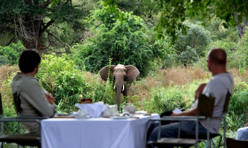 Singita Sweni Lodge