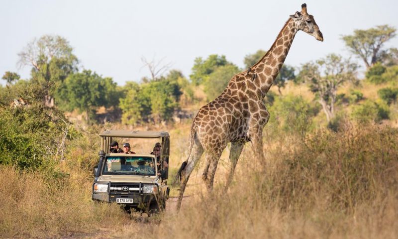 Ngoma Safari Lodge Botswana