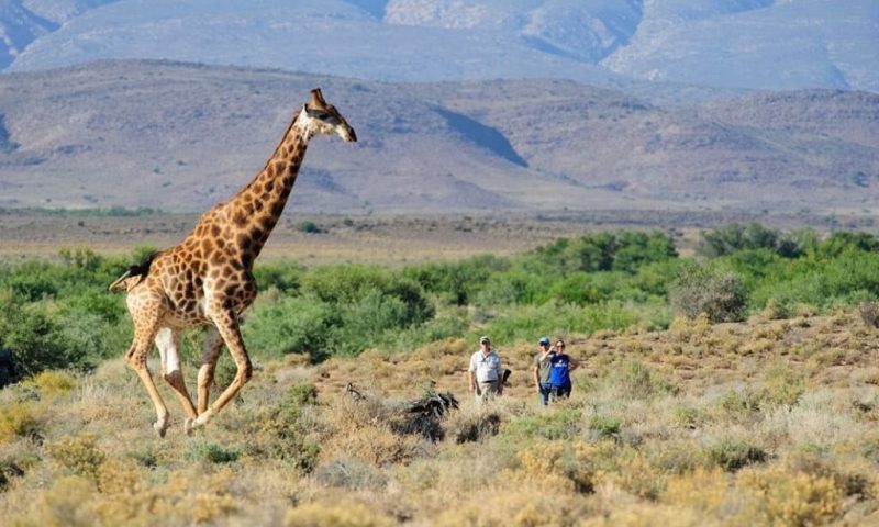 Sanbona Wildlife Reserve