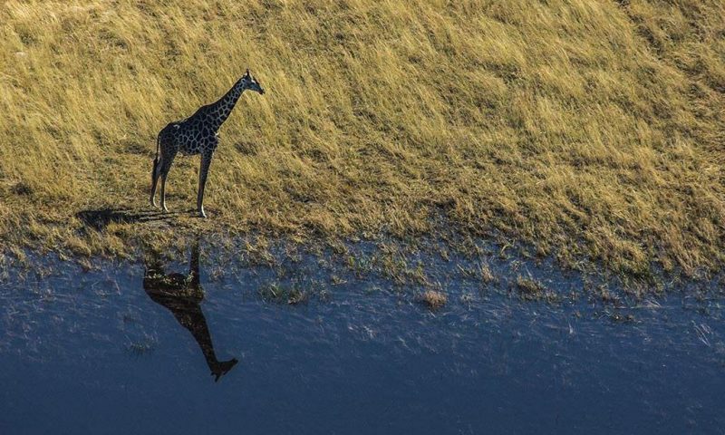 Selinda Camp Botswana